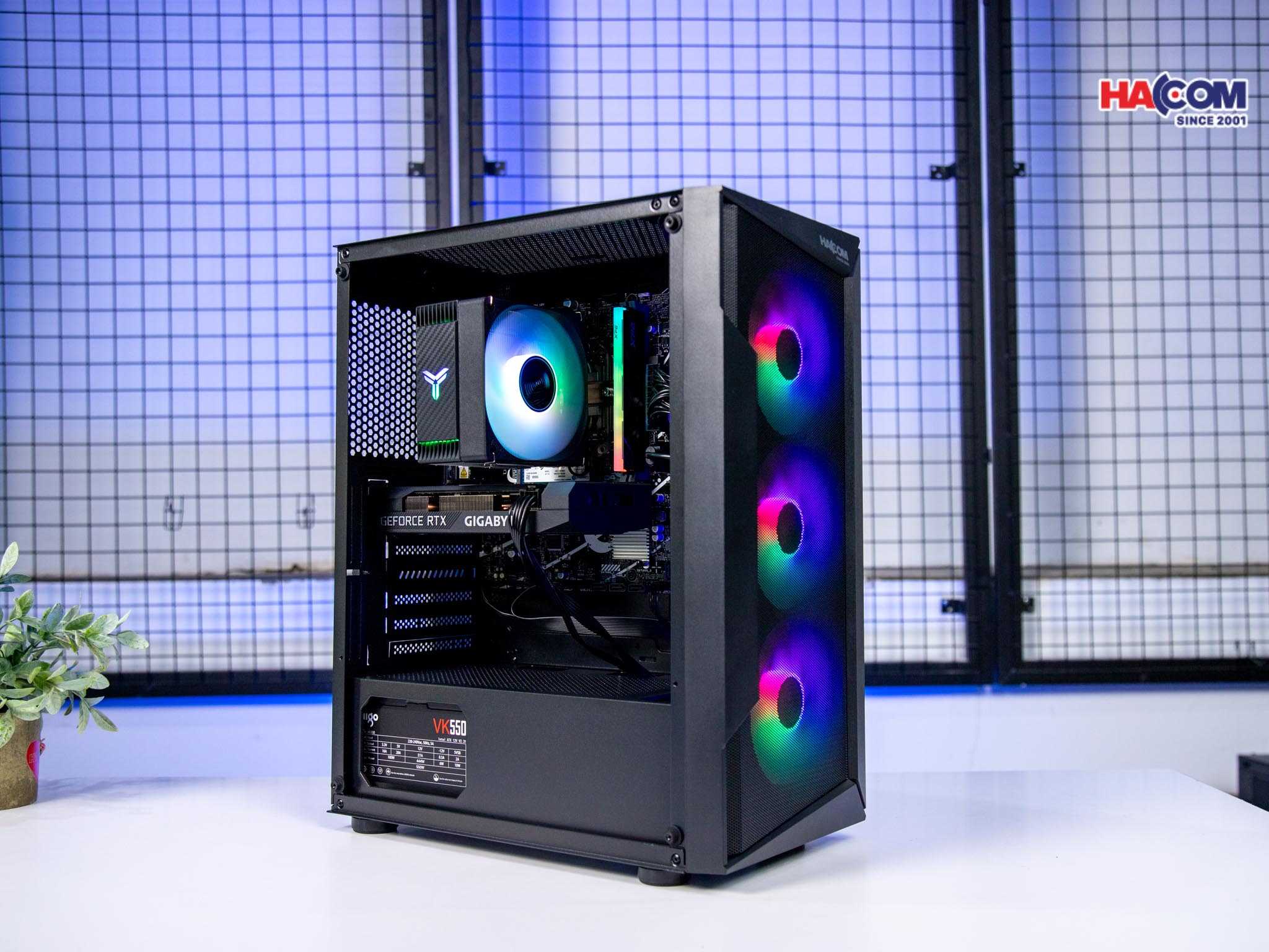 cdn/web/IMG_9345.jpg 2