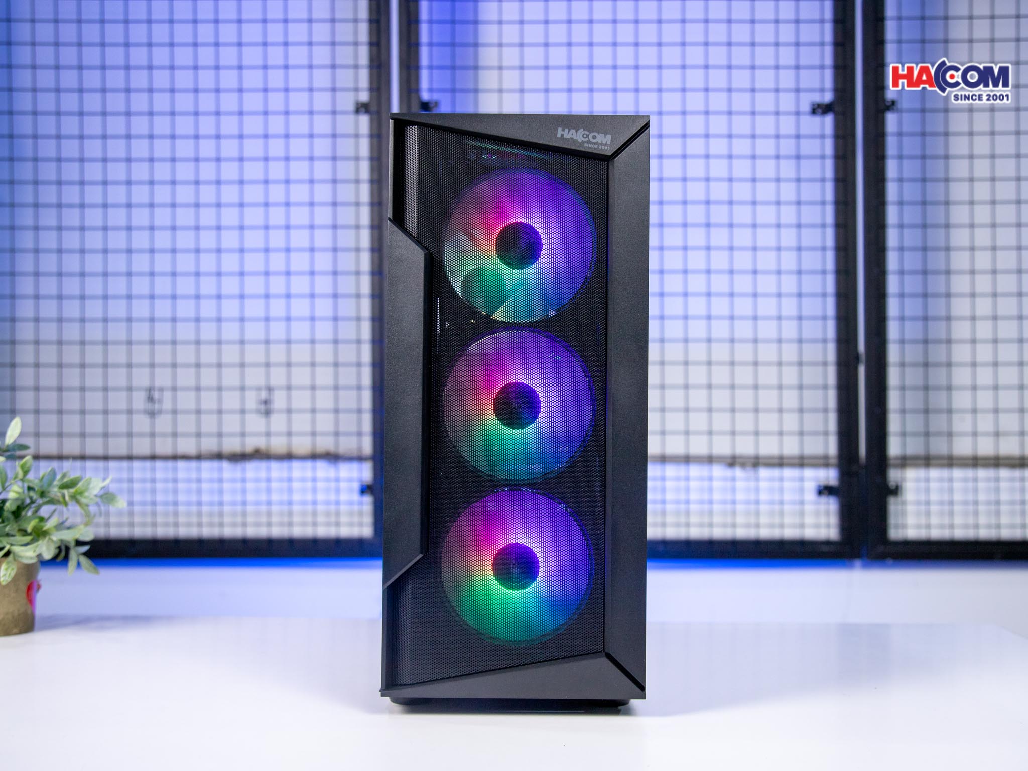 cdn/web/IMG_9347.jpg 3