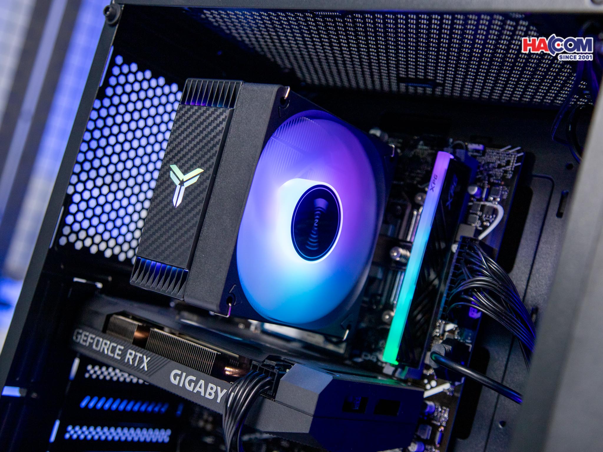 cdn/web/IMG_9348.jpg 4