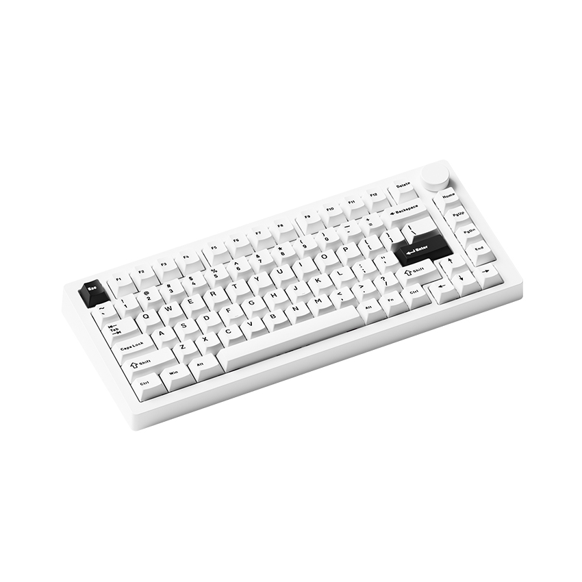 Bàn phím MonsGeek M1 V5 Black on White Mirror 2