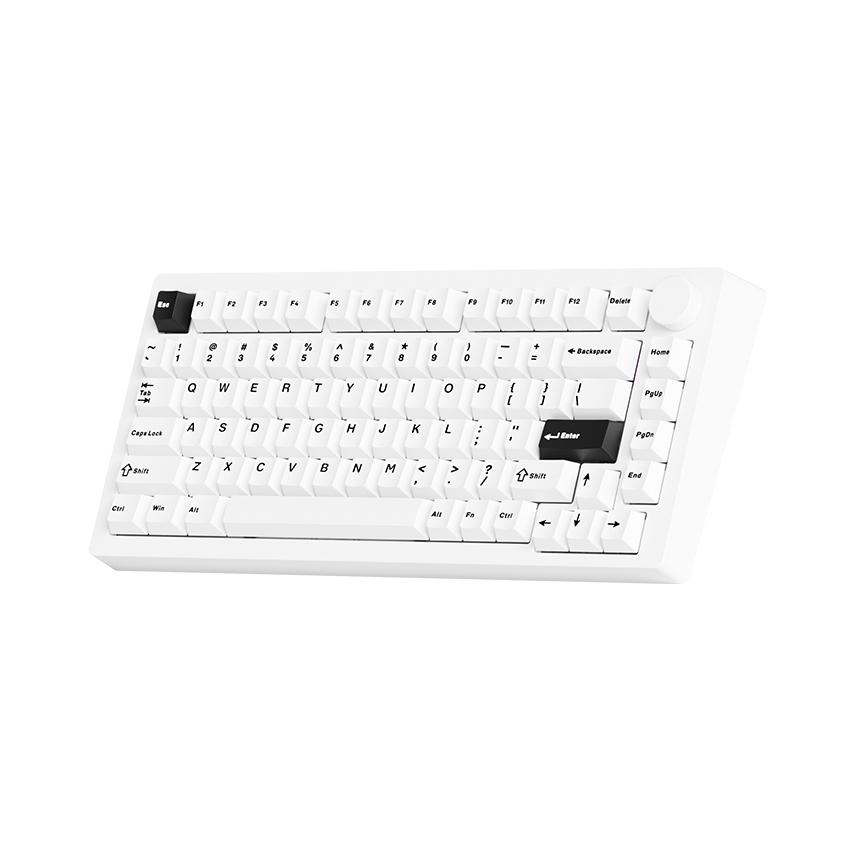 Bàn phím MonsGeek M1 V5 Black on White Mirror 3