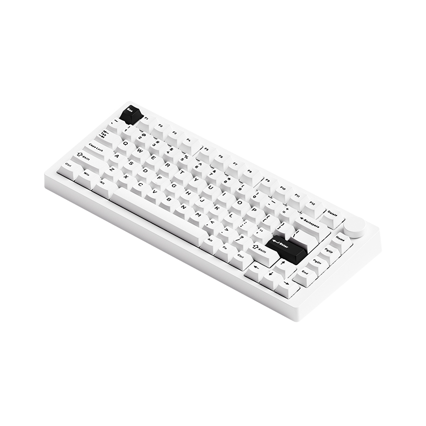 Bàn phím MonsGeek M1 V5 Black on White Mirror 4