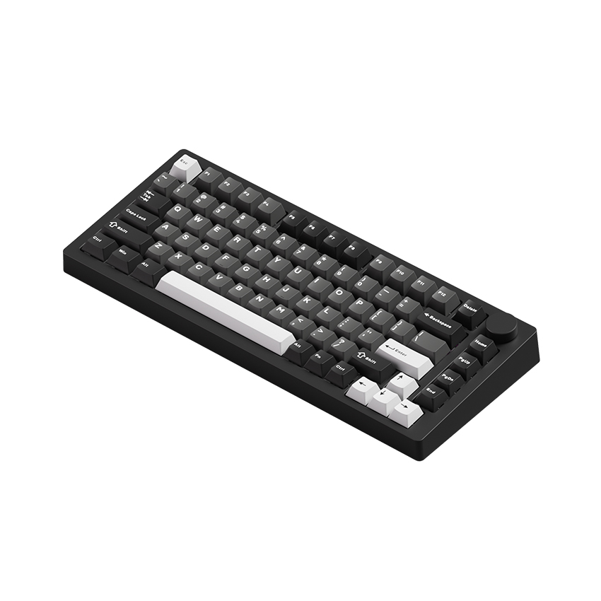  Bàn phím MonsGeek M1 V5 Black & Silver Mirror 3