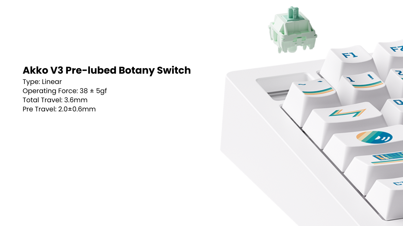 Bàn phím MonsGeek M1 V5 VIA 1980s Botany 13