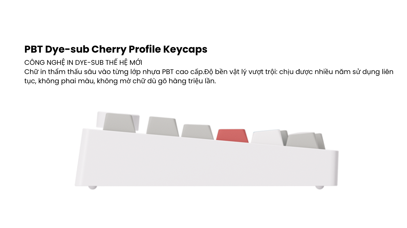Bàn phím MonsGeek M1 V5 VIA Recycling Botany 12