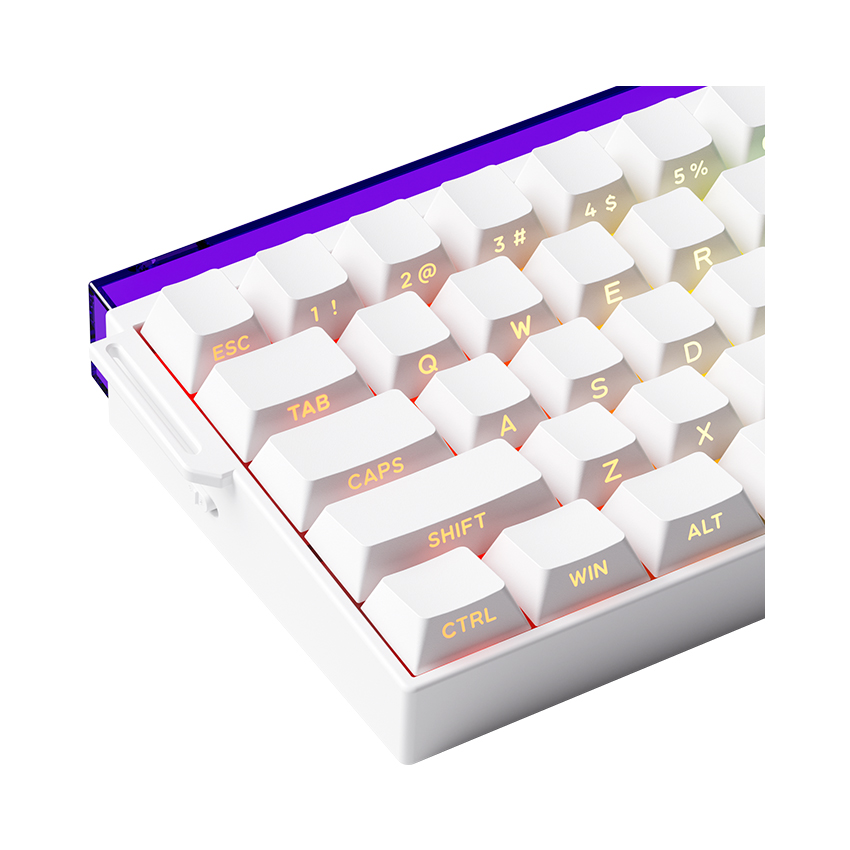 Bàn phím Veekos Shine60 SP White Flash Magnetic Switch 4