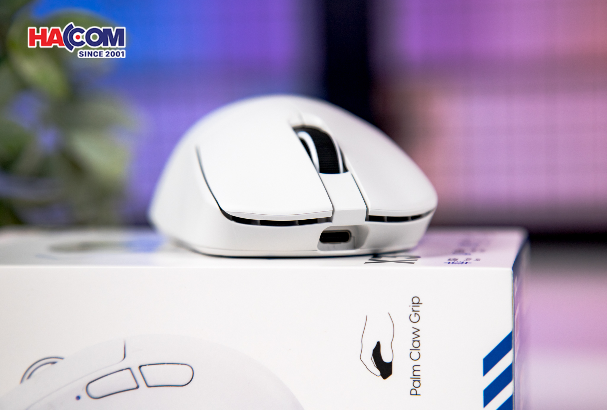 Chuột không dây Pulsar X3 Size2 White 12