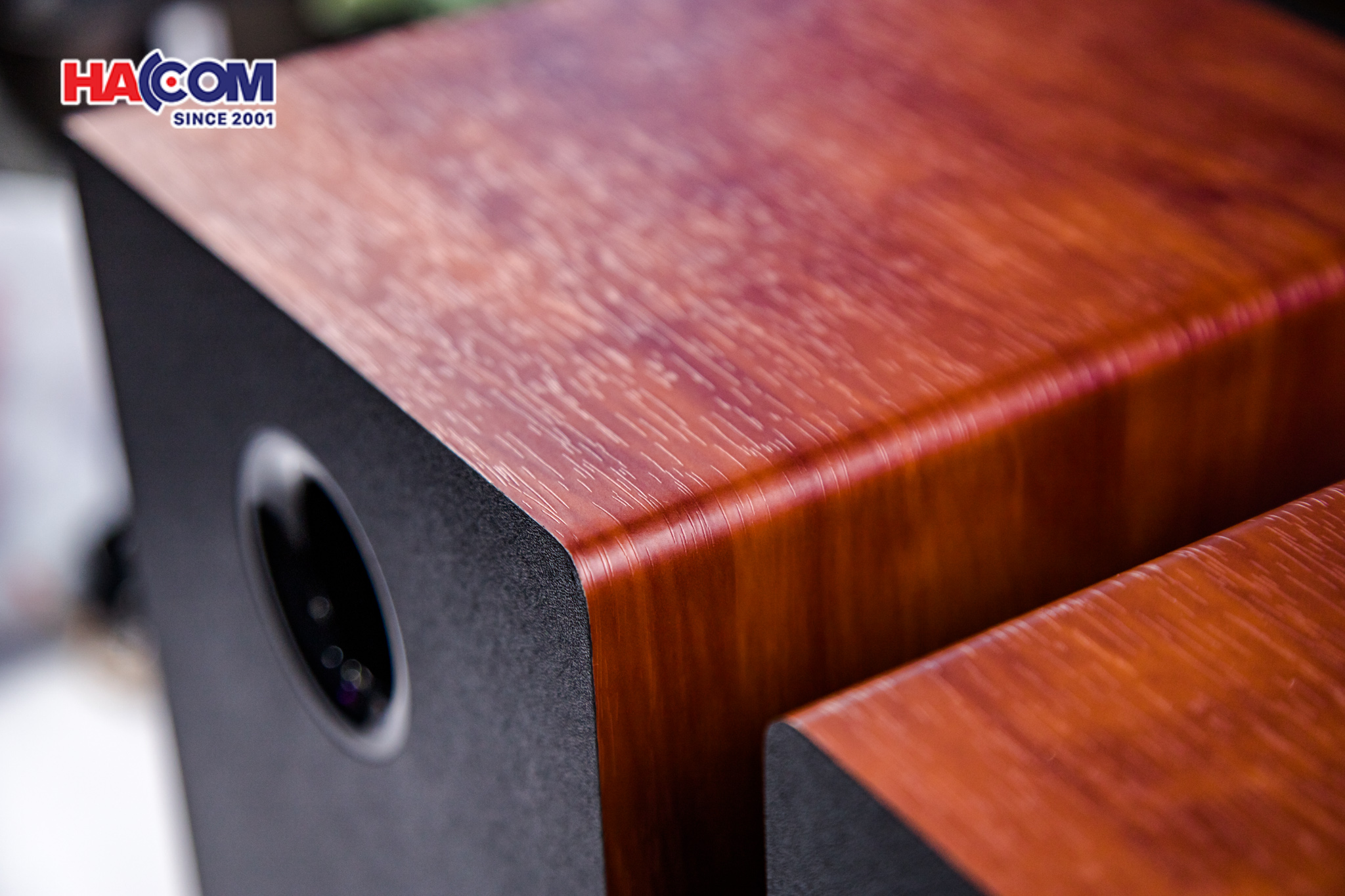 Loa Bluetooth Thonet & Vander KURBIS 2.0 (màu gỗ) 19