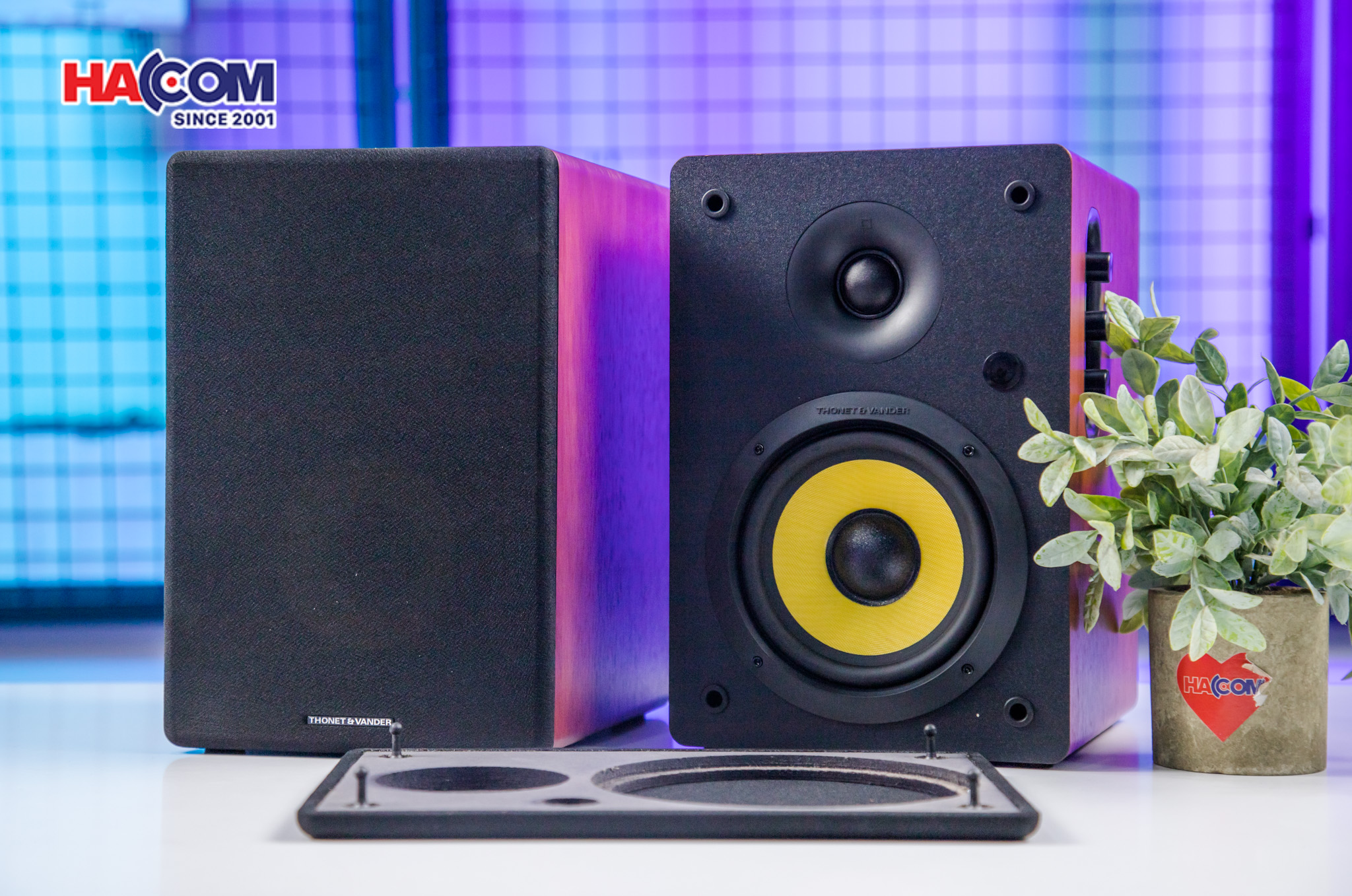 Loa Bluetooth Thonet & Vander KURBIS 2.0 (màu gỗ)eb/loa-bluetooth-thonet-vander-kurbis-20-mau-go-003.jpg 8