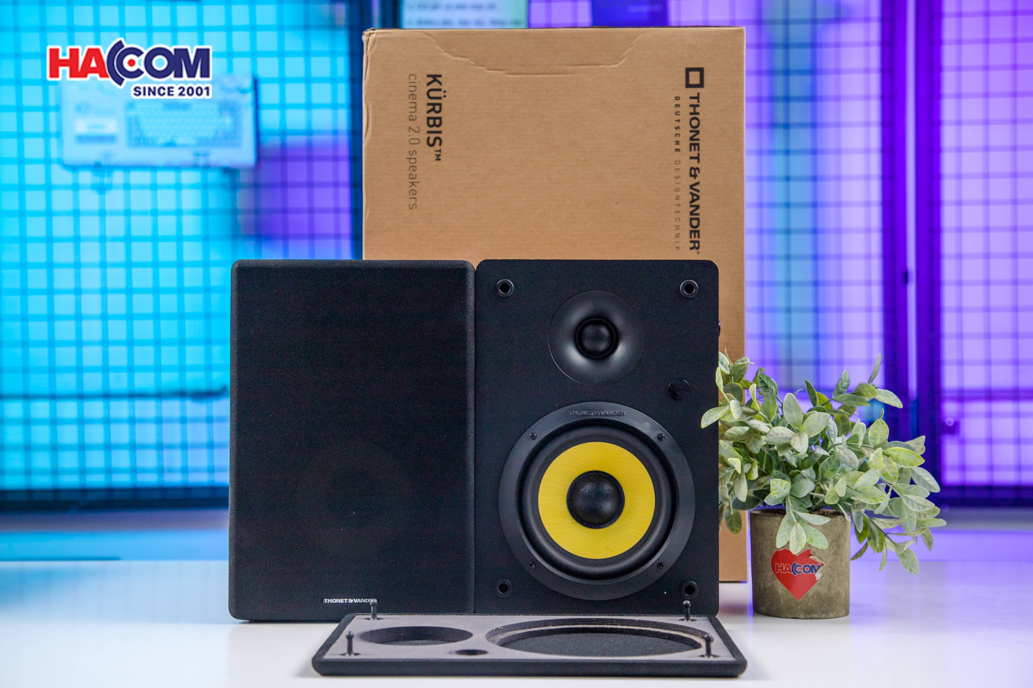 Loa Bluetooth Thonet & Vander KURBIS 2.0 (màu gỗ) 9