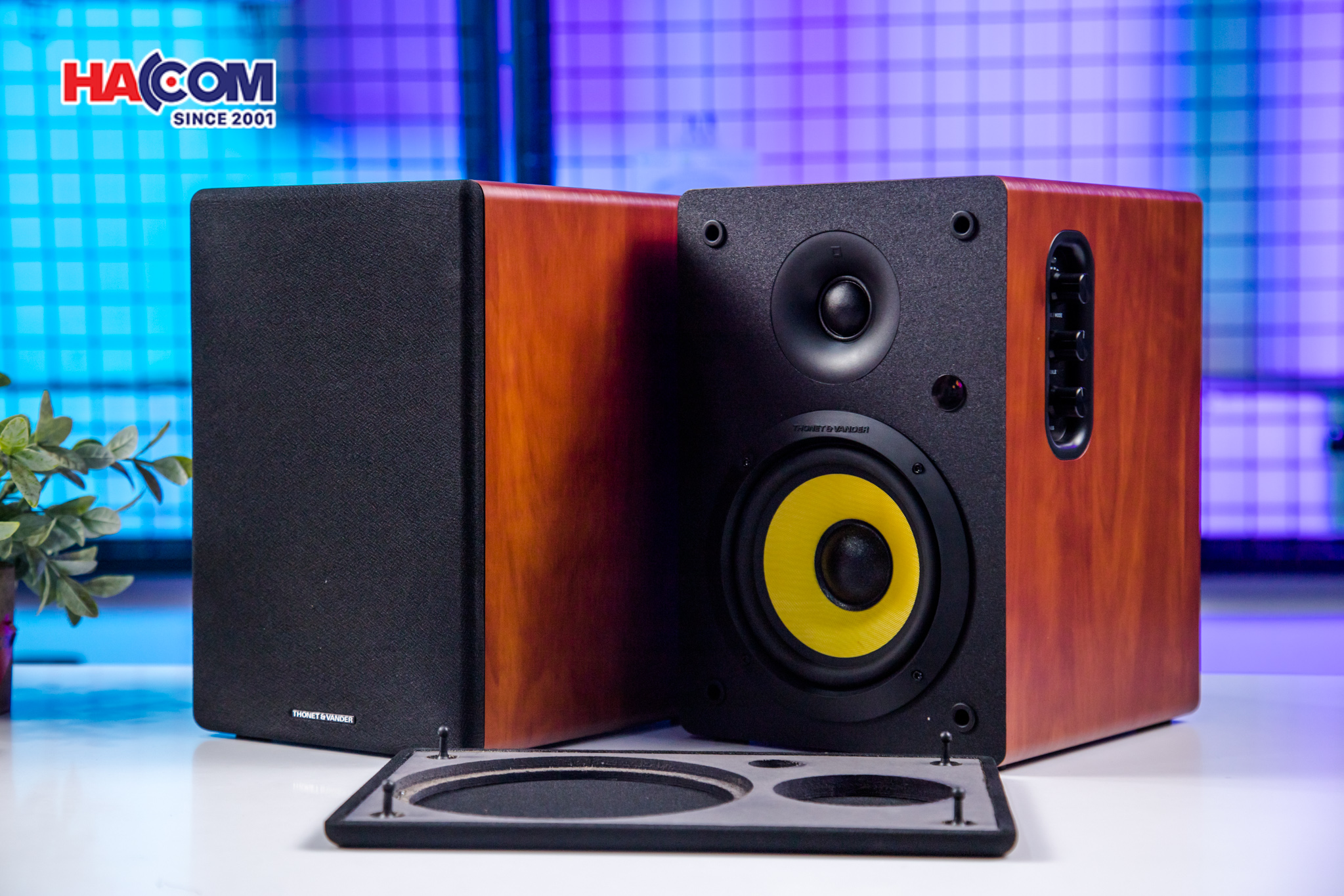 Loa Bluetooth Thonet & Vander KURBIS 2.0 (màu gỗ) 11