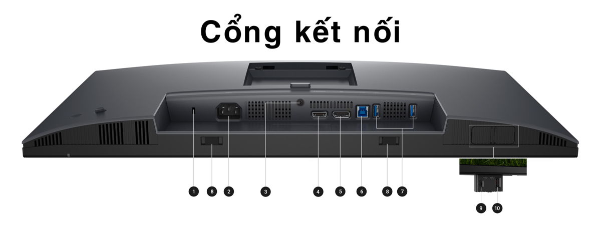 Cổng Kết Nối của Dell Pro 24 P2425D Đa Dạng Cho Mọi Thiết Bị