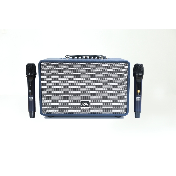 Loa Karaoke di động NOVA PRO-200V đen 1