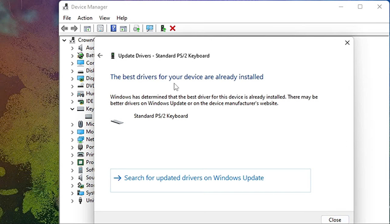 Sửa b&agrave;n ph&iacute;m cơ bị liệt bằng c&aacute;ch cập nhật driver.