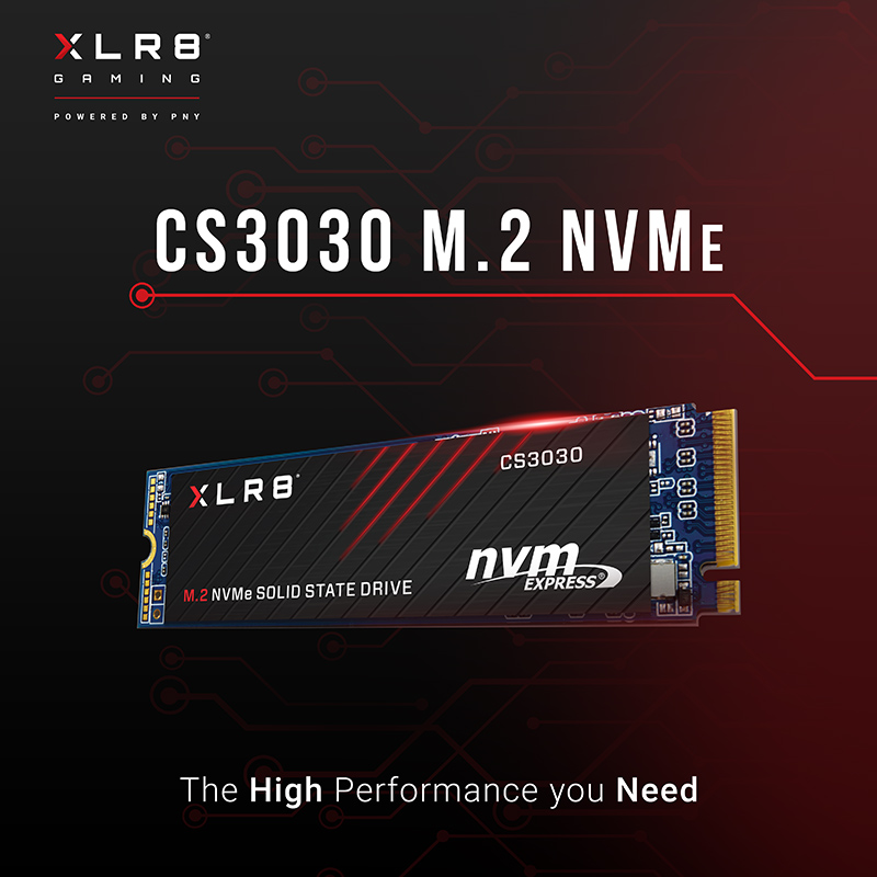 Ổ cứng SSD CS3030 2TB M.2 2208 PCIe NVMe Gen 3x4