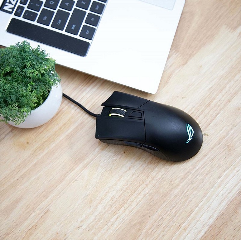 chuột công thái học asus