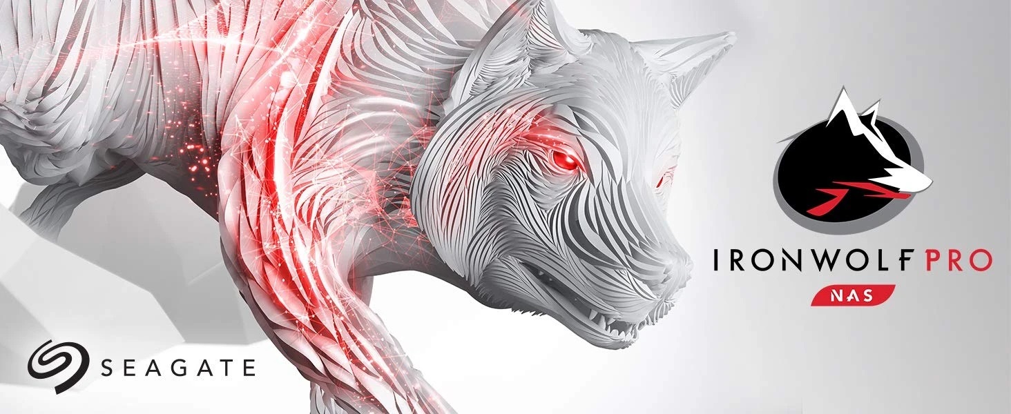 Ổ cứng HDD Seagate Ironwolf Pro 