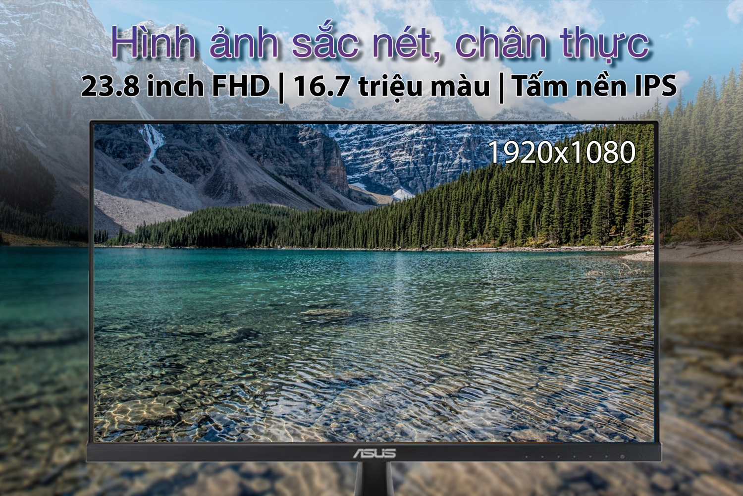 man-hinh-asus