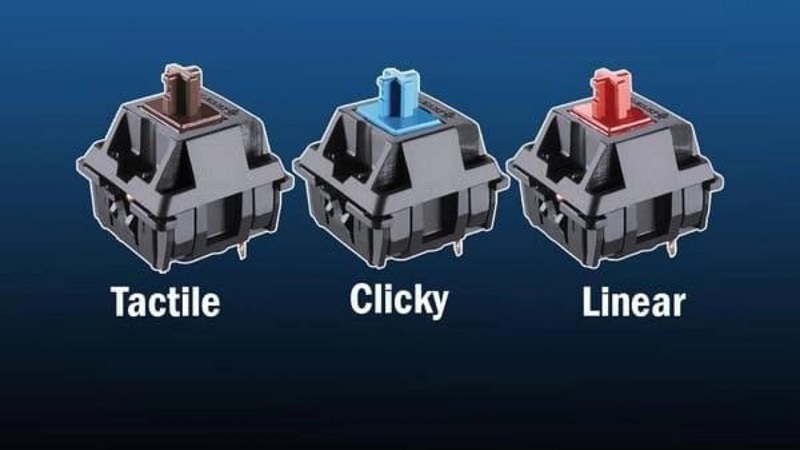 phân biệt tactile vs linear và clicky