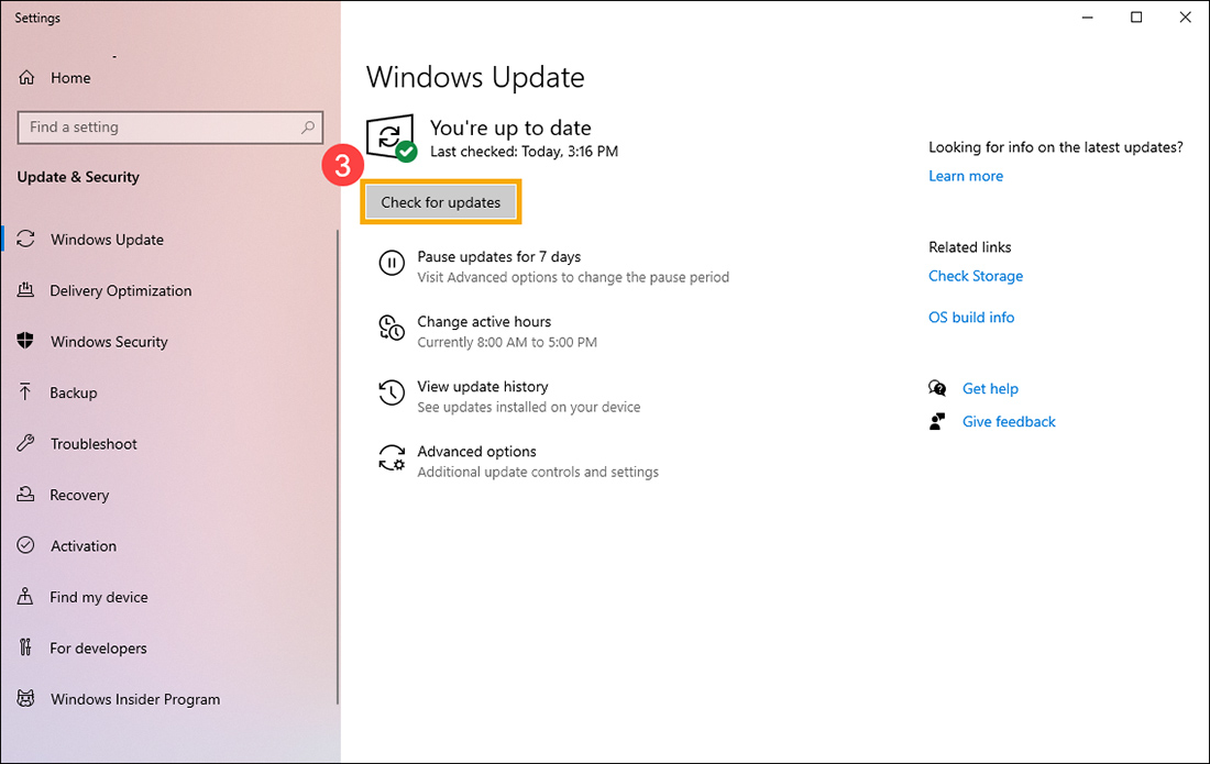 Cập nhật tự động Windows 11 qua Windows Update 1