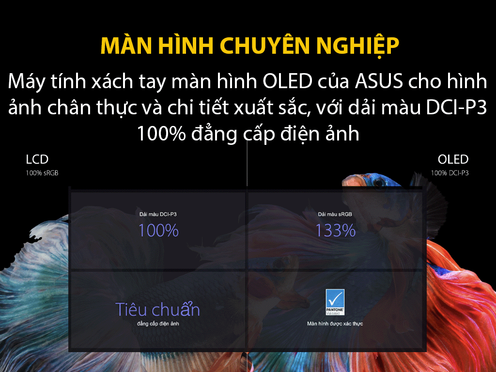 Độ phủ màu 100% DCI-P3 giúp màn hình tái tạo màu sắc chính xác hơn cho các công việc liên quan đến hình ảnh.