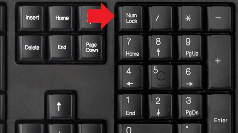 b&agrave;n ph&iacute;m laptop g&otilde; số ra chữ do tắt numlock