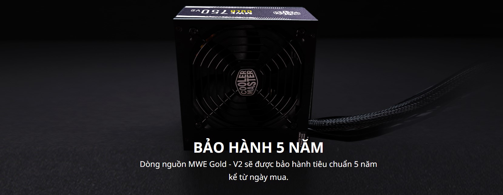 Nguồn máy tính Cooler Master MWE GOLD 750 - V2 750W ( 80 Plus Gold/Màu Đen/Full Modular)