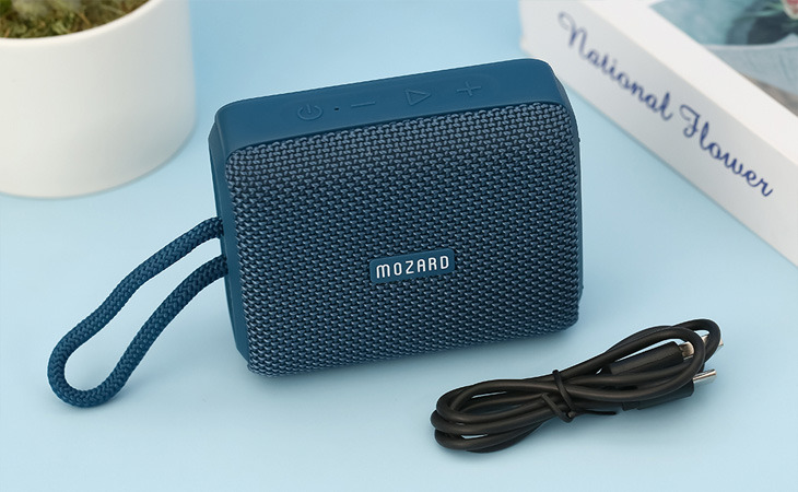 Loa Bluetooth giá cả đa dạng và thấp hơn so với loa thông thường