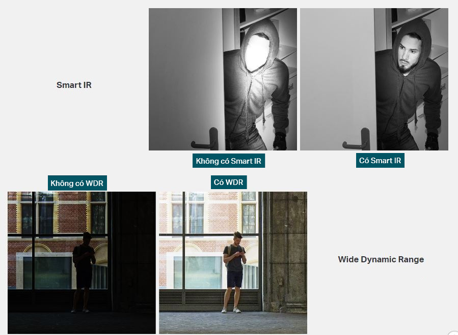 Camera TP-Link VIGI C440 - W