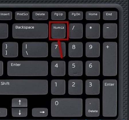 Bàn phím bị liệt các phím số