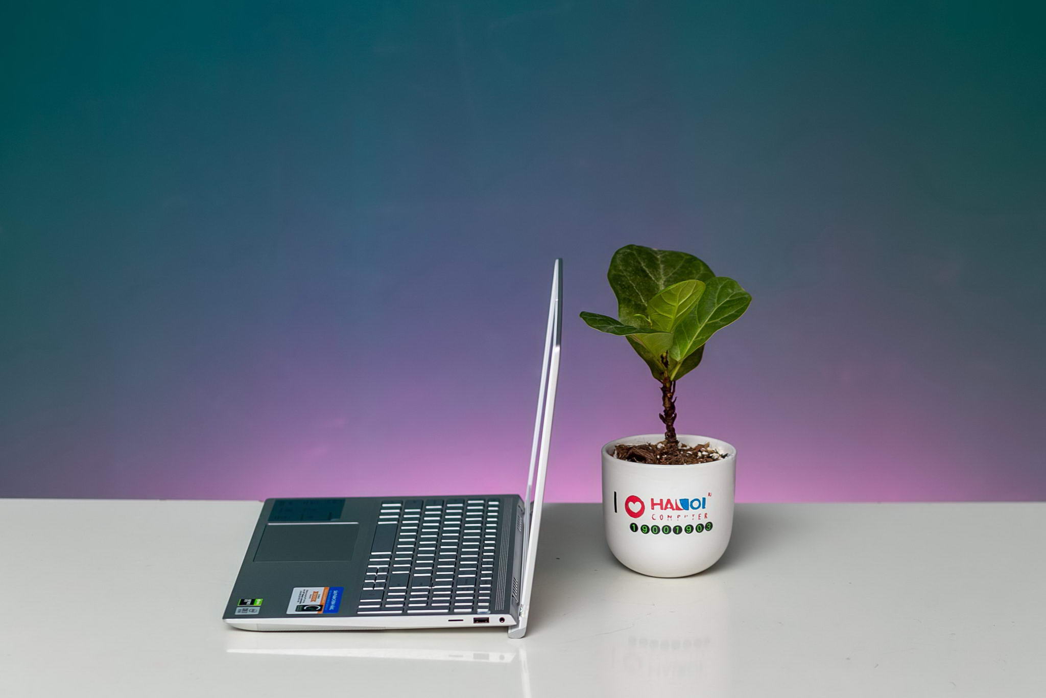 Laptop Dell Inspiron 7501-1