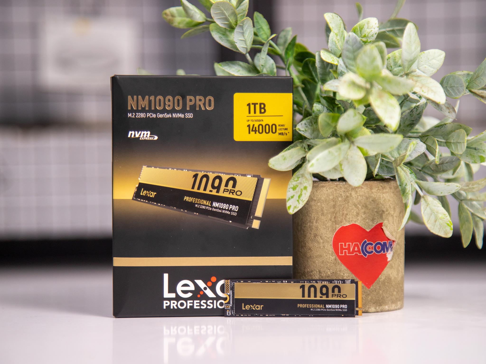 SSD Lexar NM1090 Pro: Bứt phá tốc độ, dung lượng linh hoạt cho game thủ và sáng tạo nội dung