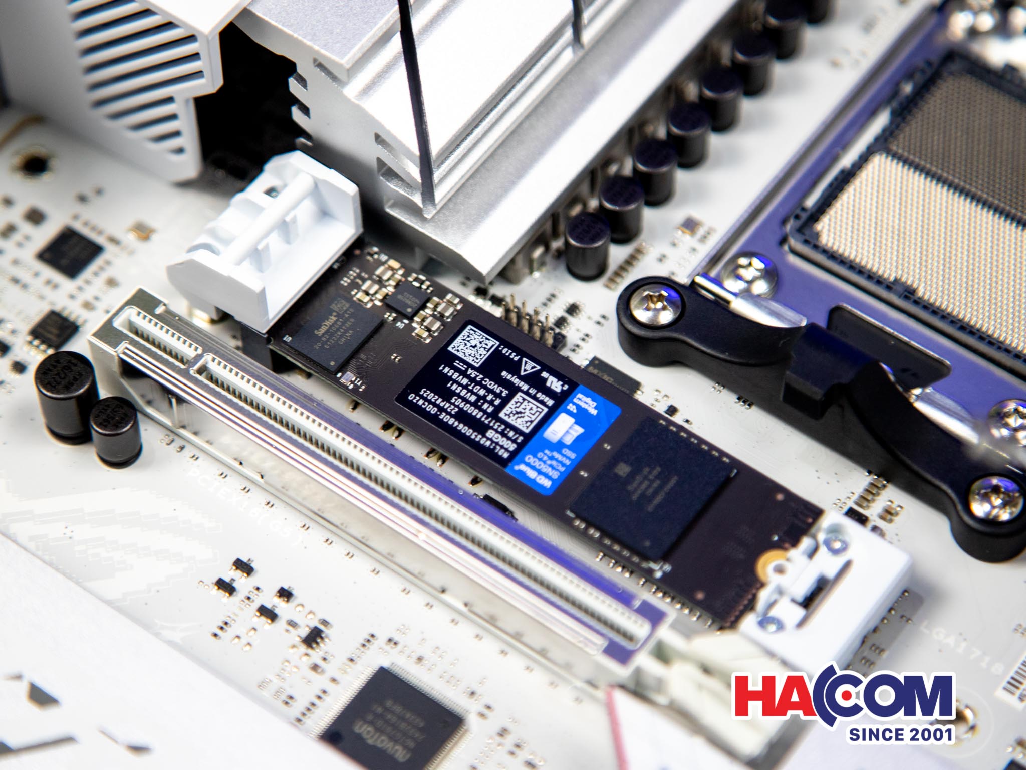 HACOm WD Blue SN5000