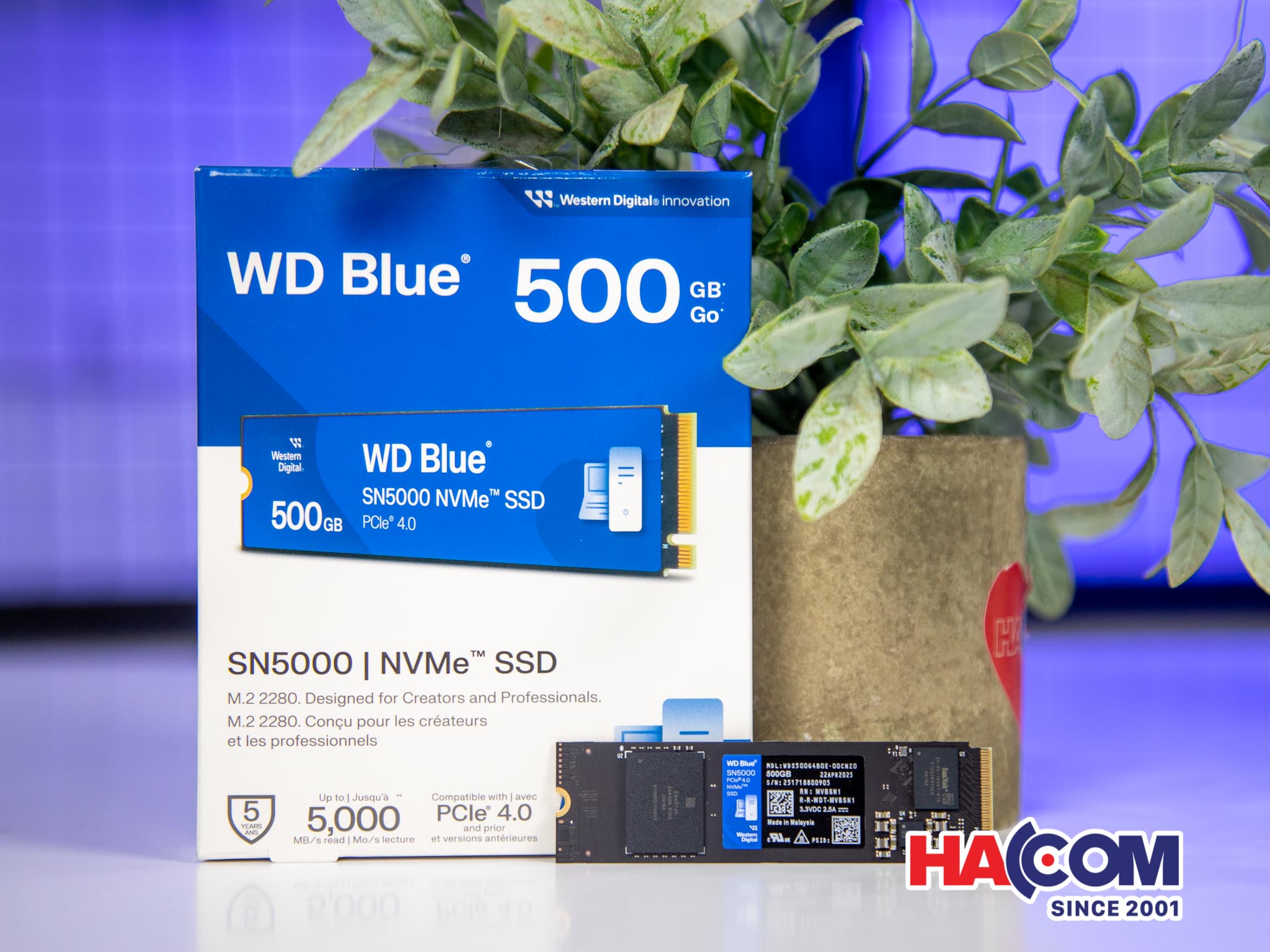 HACOm WD Blue SN5000
