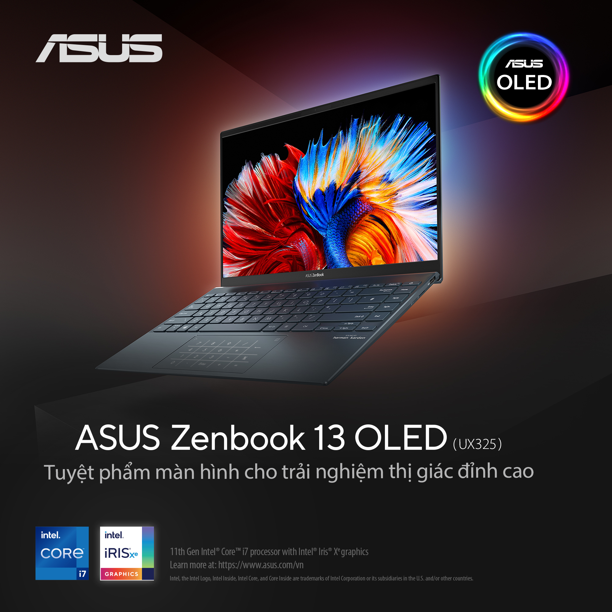 hanoicomputer-UX325_OLED-1