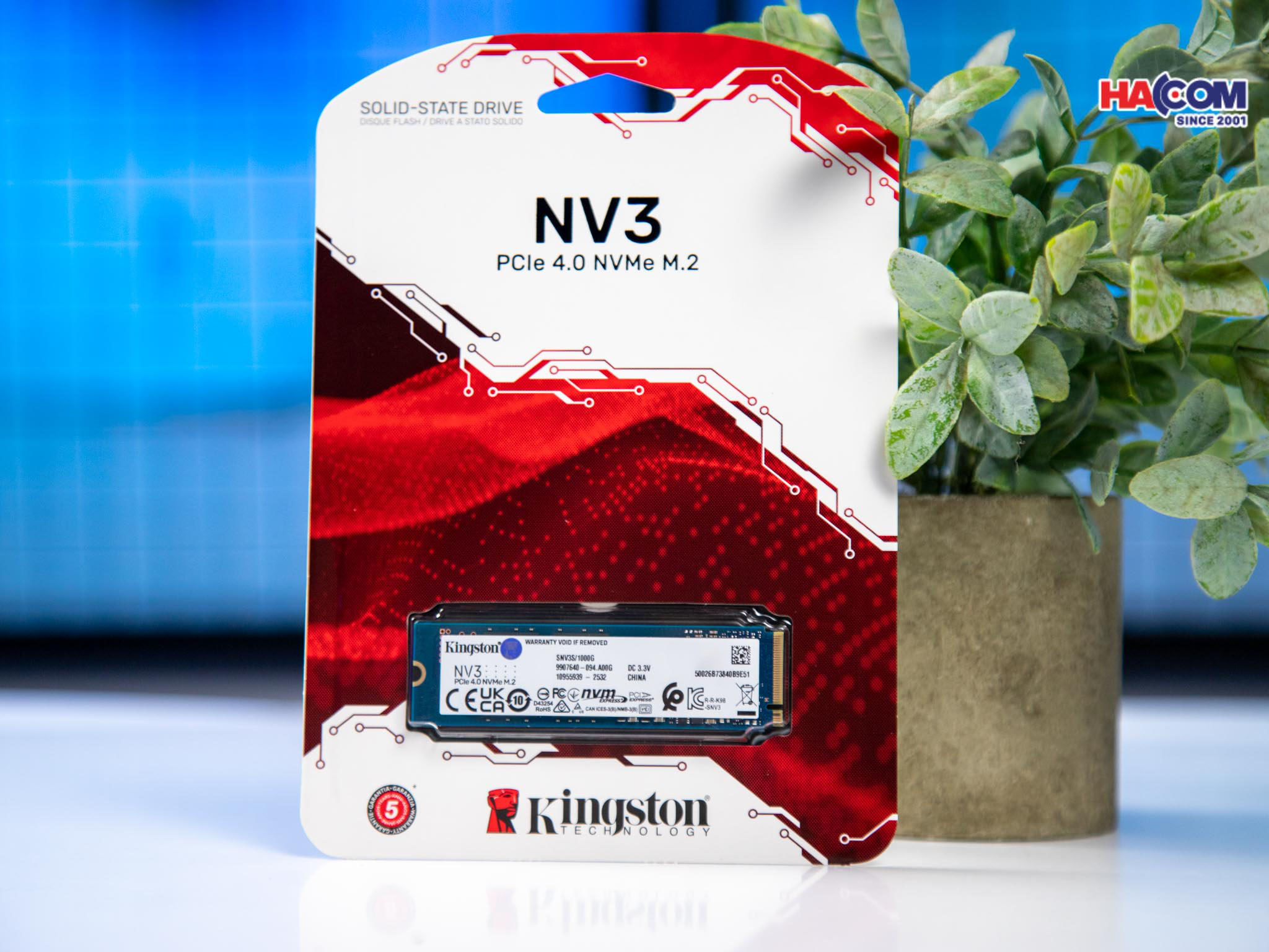 cdn/web/o-cung-ssd-kingston-snv3s-1.jpg 3