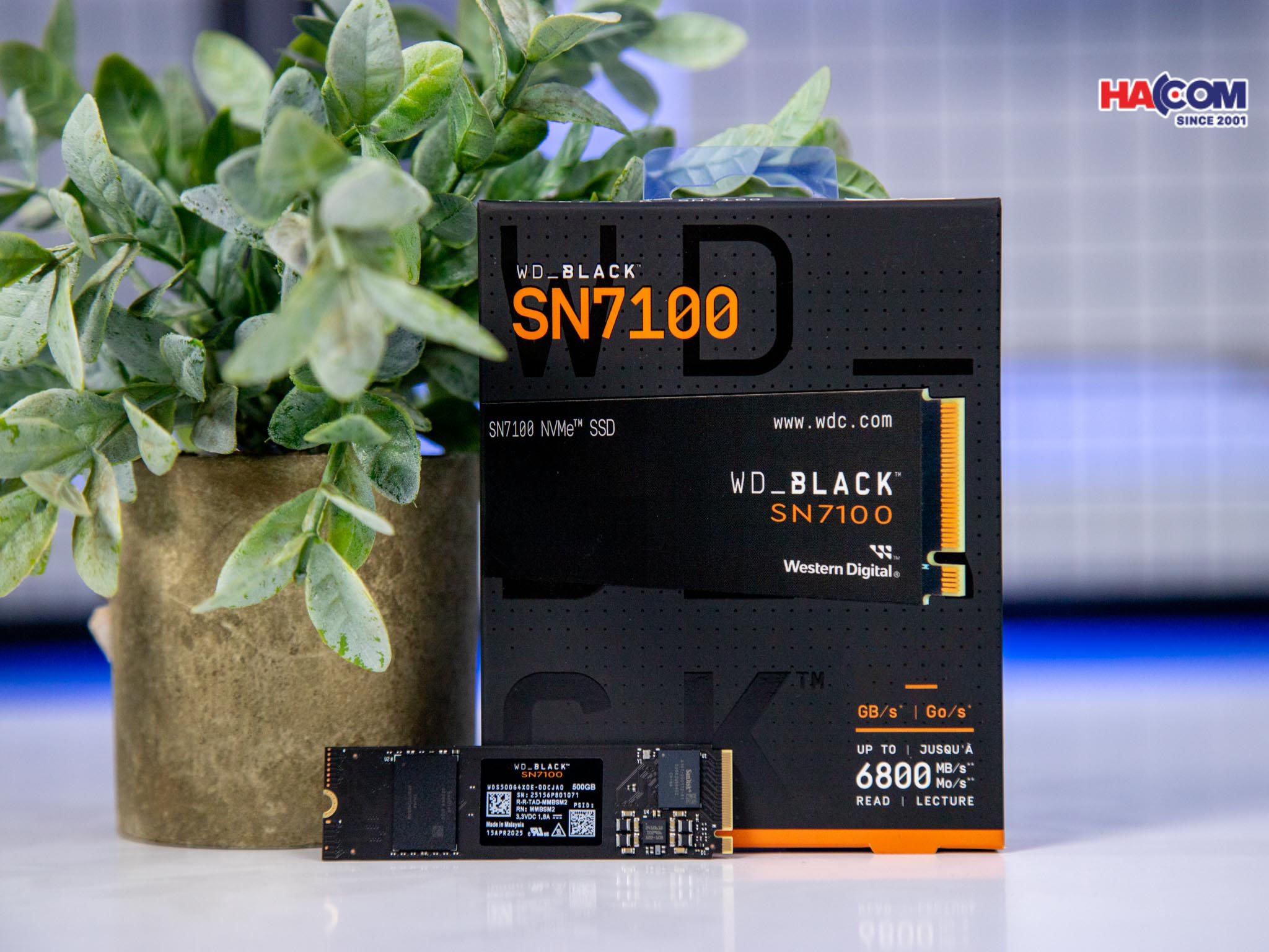 cdn/web/o-cung-ssd-wd-sn7100-black-3.jpg 5