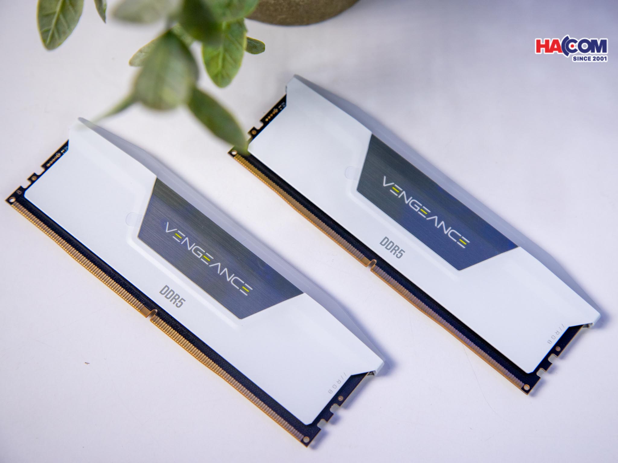 cdn/web/ram-corsair-vengeance-rgb-white-heatspreader-white-2.jpg 3