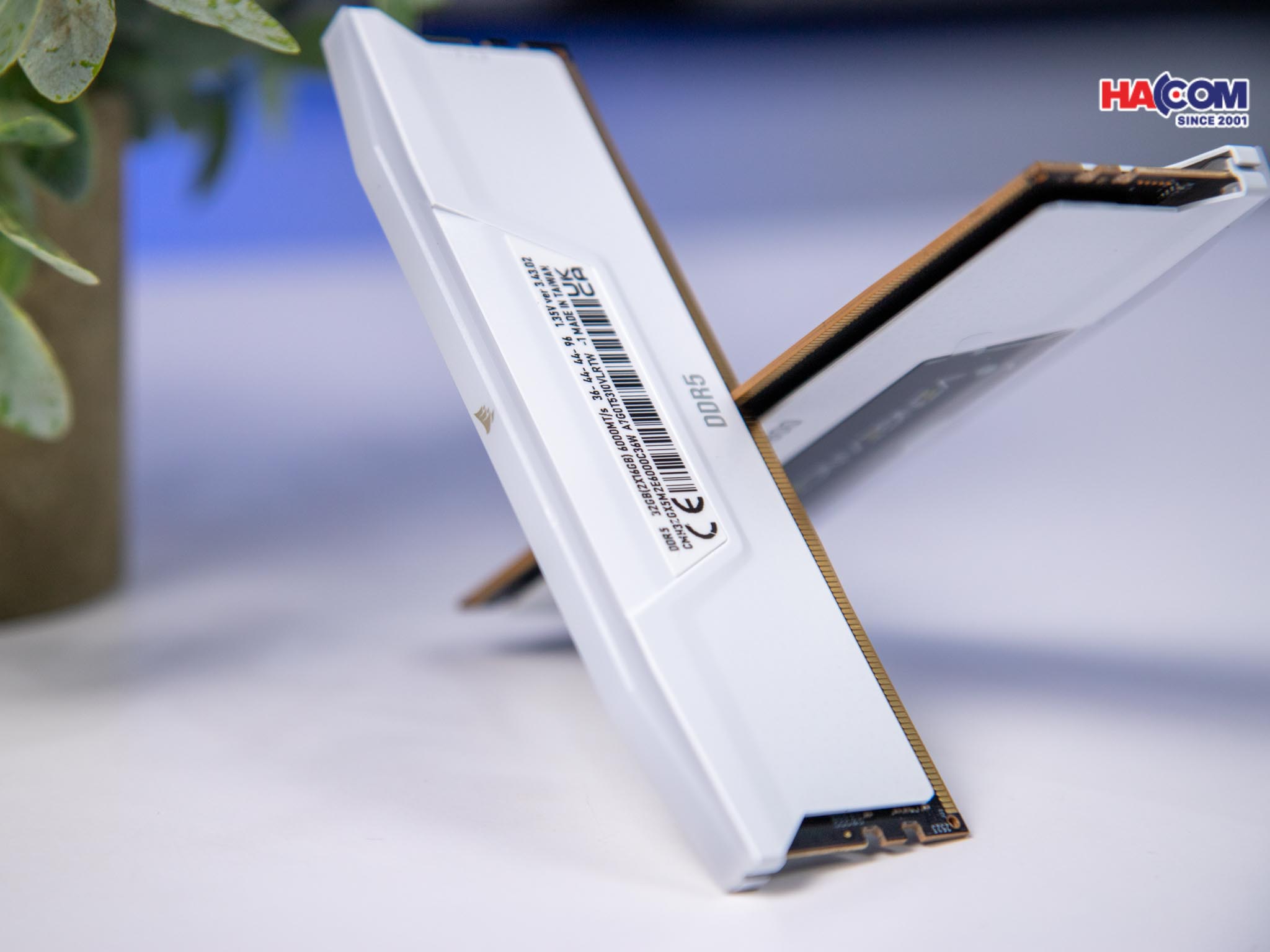 cdn/web/ram-corsair-vengeance-rgb-white-heatspreader-white-3.jpg 4