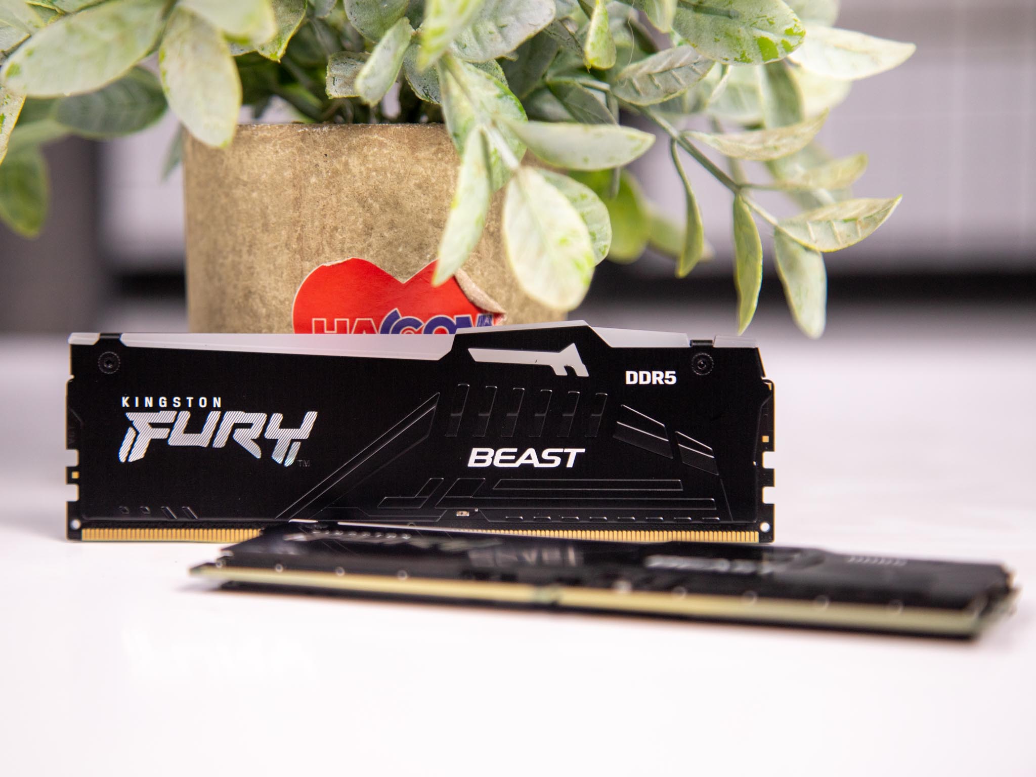 Reutter Rams Ram Desktop Kingston Fury Beast RGB (KF556C40BBAK2-32) 32GB (2x16GB ...