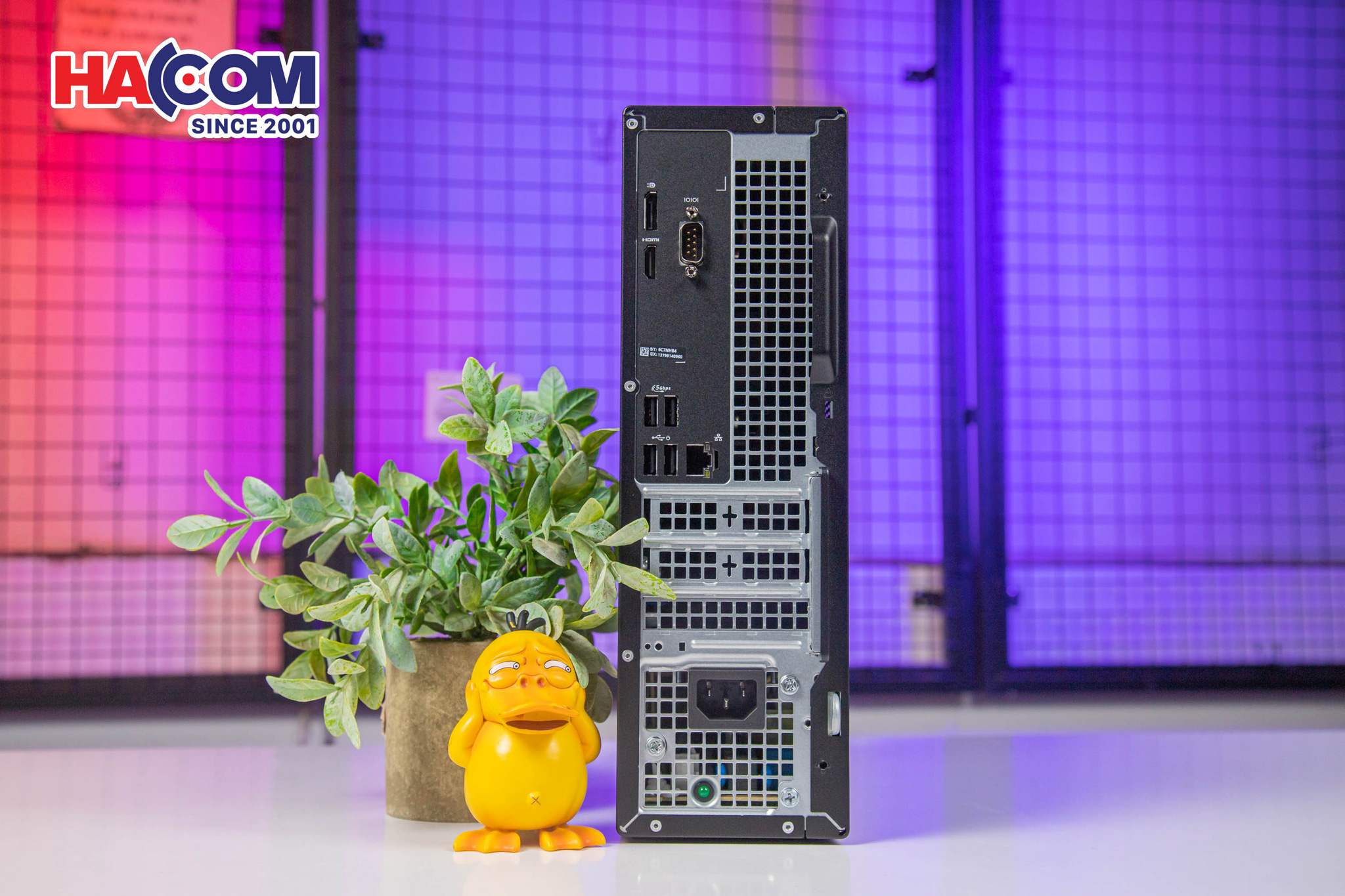 PC Dell Slim ECS1250 (DS-14400-16-512G) 12