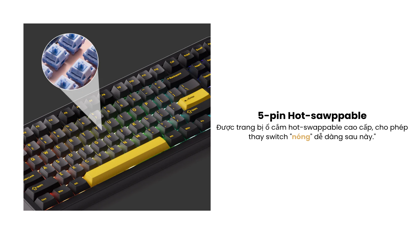 Bàn phím AKKO TAC87 Black & Gold Mirror 3 mode 7